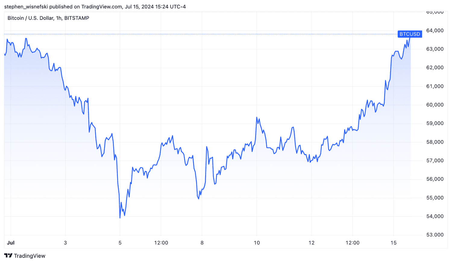 Bitcoin price chart in July 2024