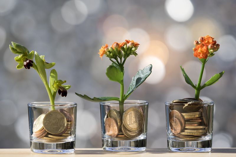 Plants that grow in a flower pot with fertilizer of coins