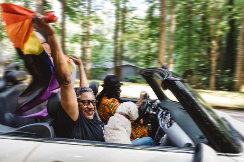 dog with owners in car with pride flag