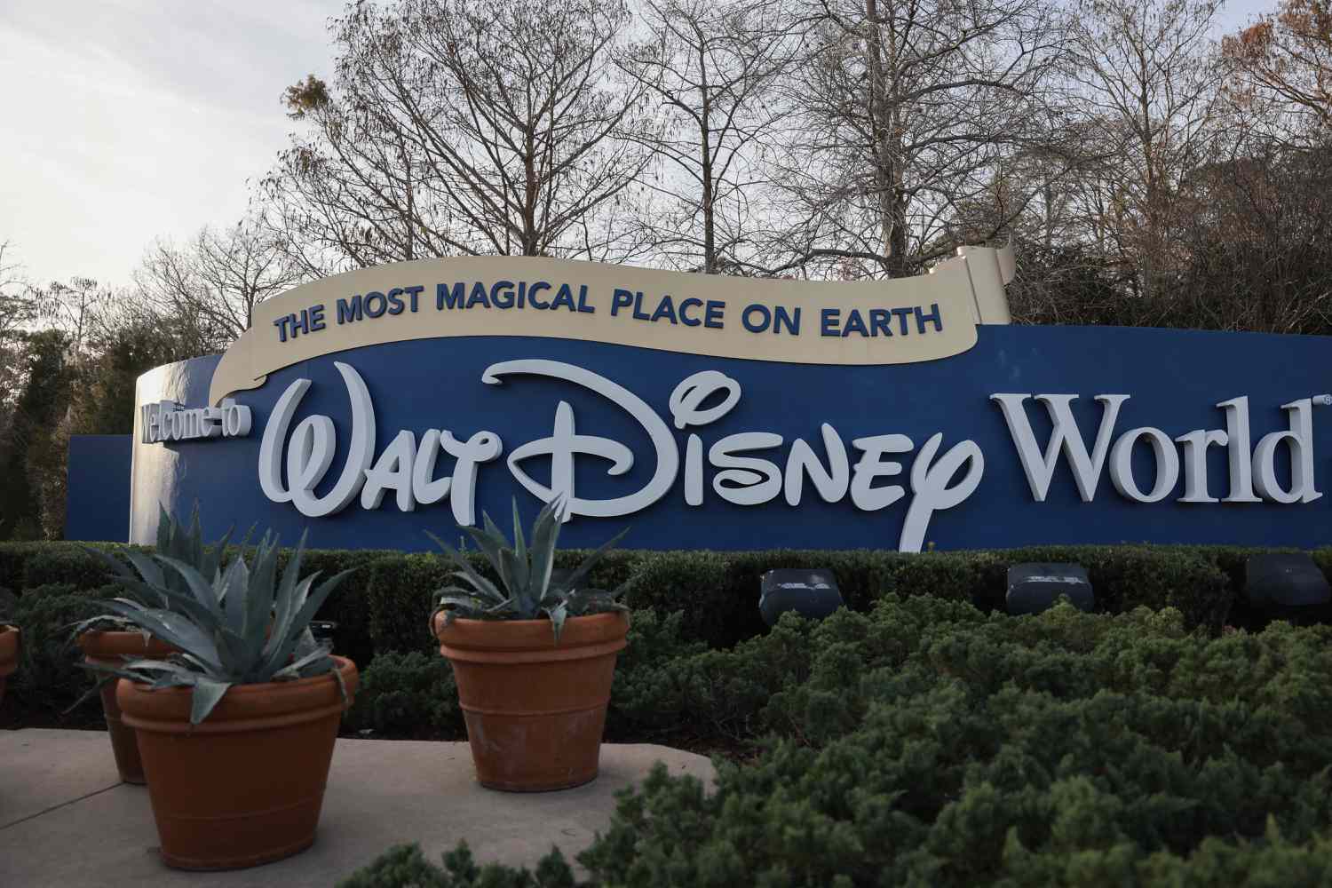 Plants are seen in front of a blue sign that reads "The Most Magical Place on Earth: Welcome to Walt Disney World"