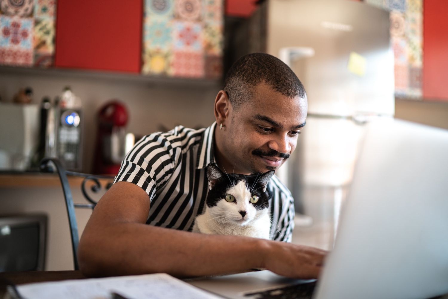 Man in a kitchen working on a laptop with a cat in his lap. 
