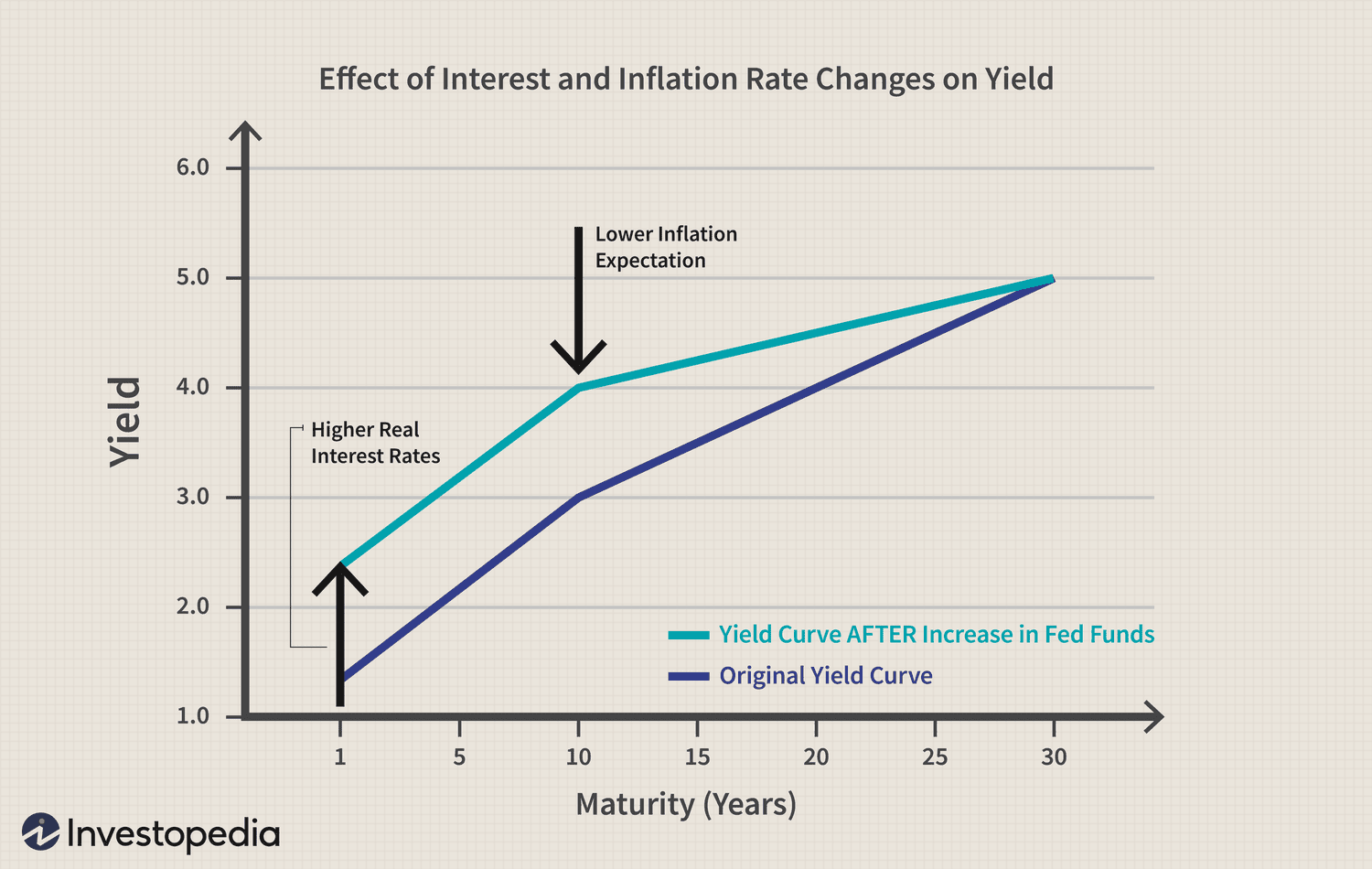 Interest Rates