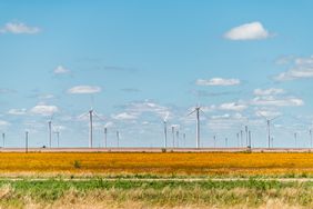 Wind turbine farm generator near Roscoe or Sweetwater Texas in USA in prairie with rows of many machines for energy