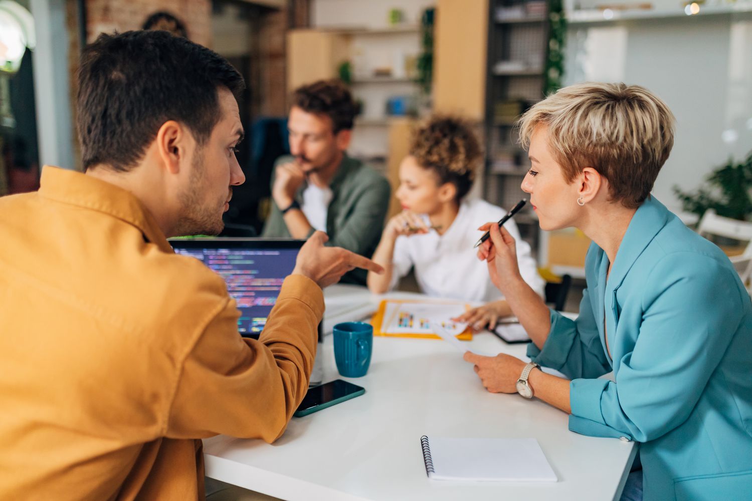 A programmer and a company accountant discuss outlining zero-one integer programming questions to determine capital rationing for possible company project.
