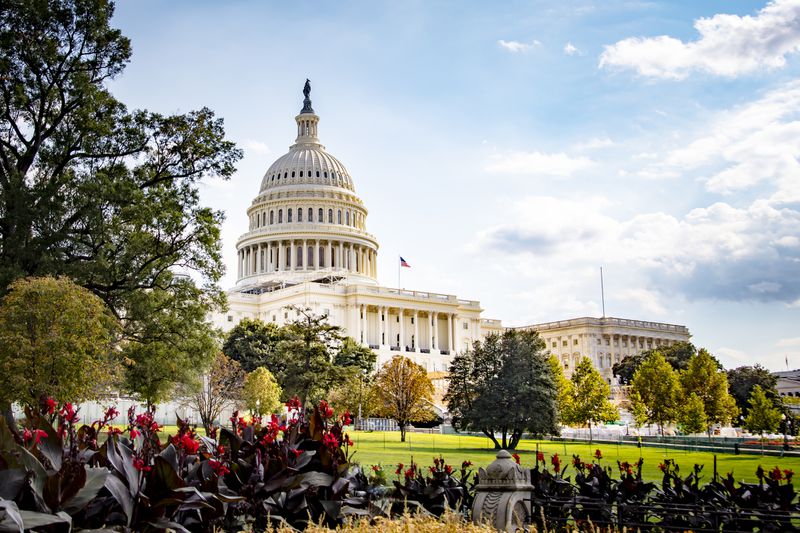 The US Capitol Building.