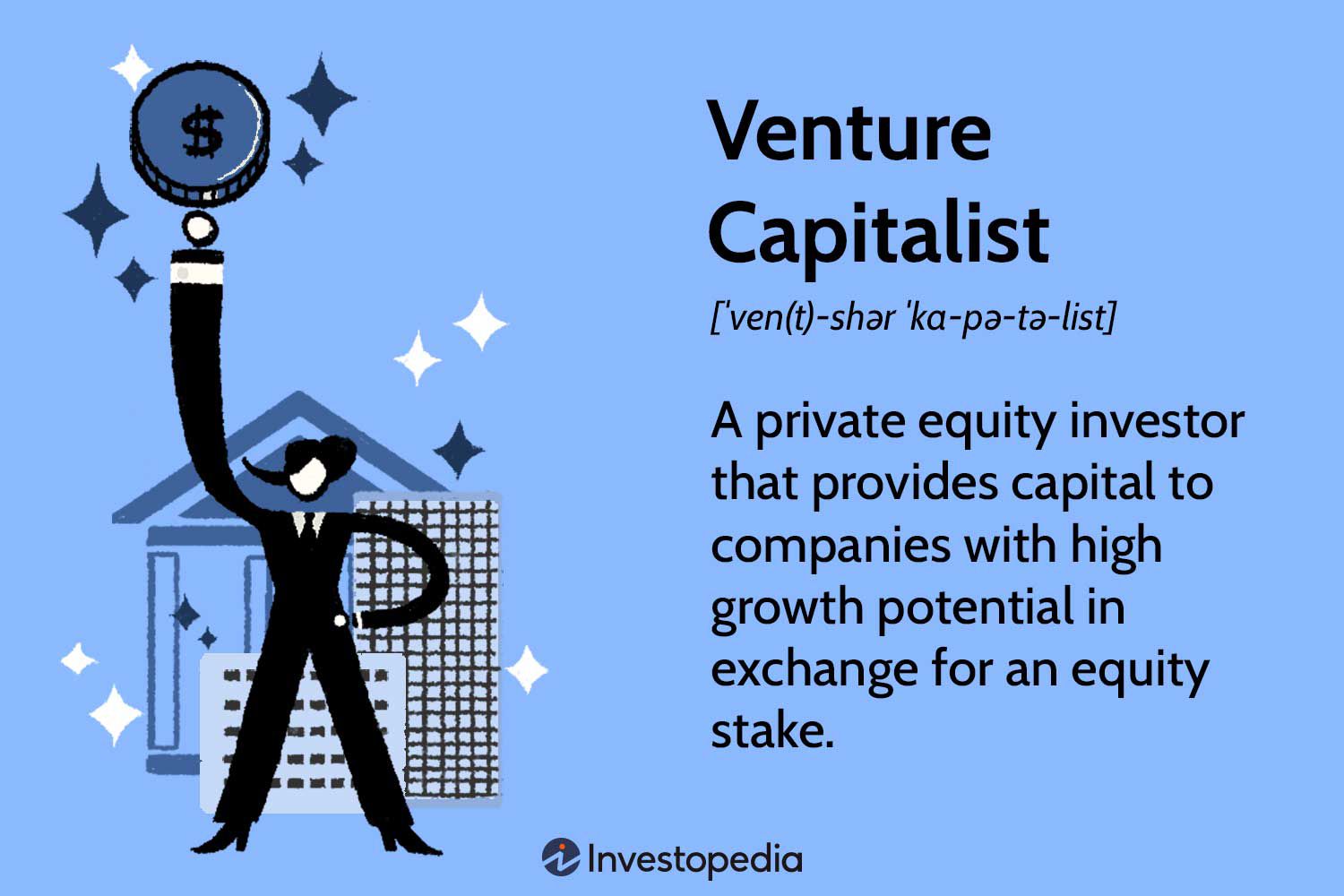 Venture Capitalist