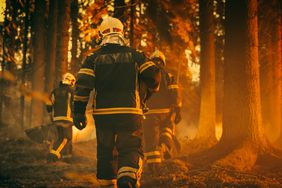 Firefighters fighting wildfires