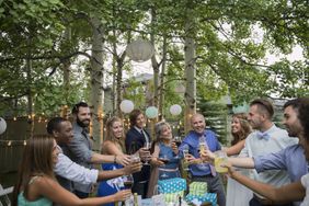 Friends family toasting bride groom backyard wedding reception