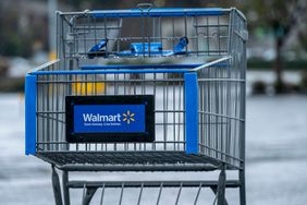 Walmart shopping cart