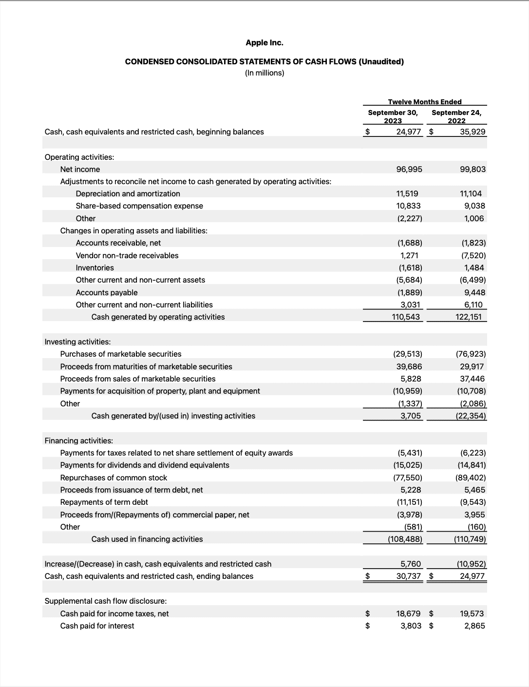 Apple Inc. Cash Flow Statement November 2023