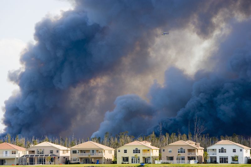 Wildfire