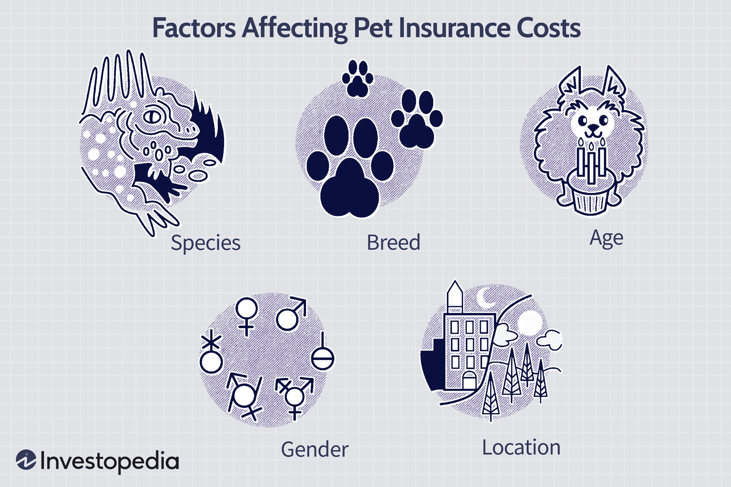 Factors Affecting Pet Insurance Costs