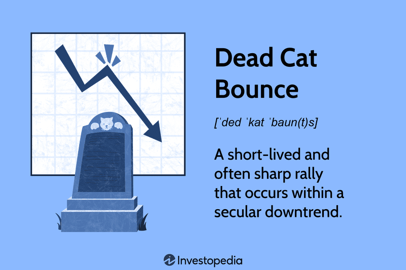 Dead Cat Bounce