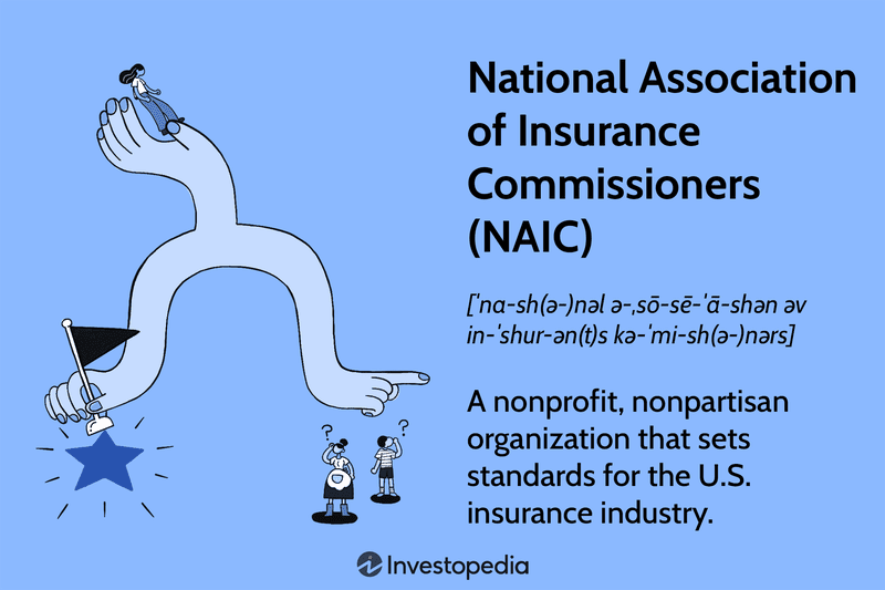 National Association of Insurance Commissioners (NAIC)