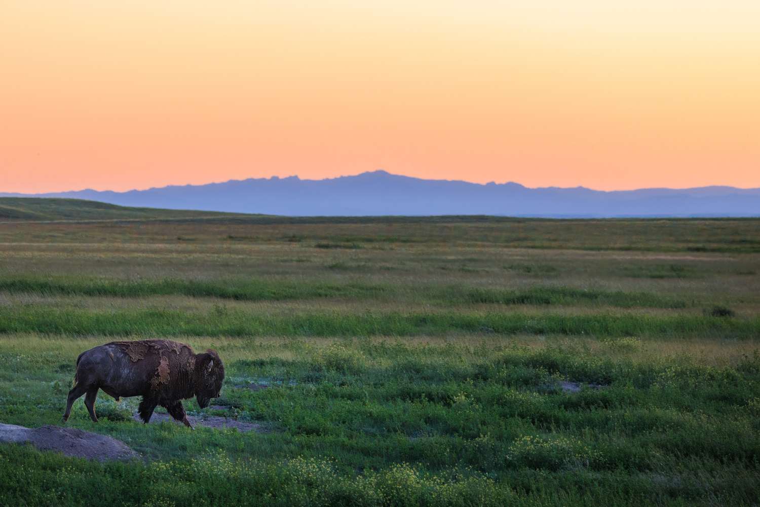Badlands National Park, South Dakota