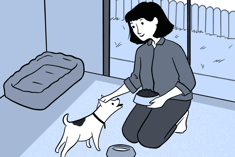 Economics of Pet Ownership