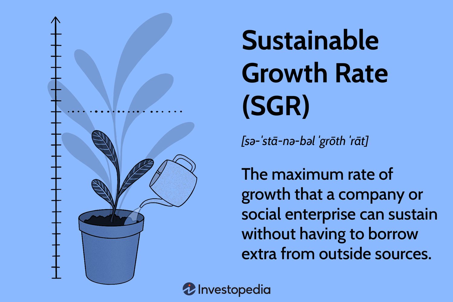 Sustained Growth Rate (SGR)