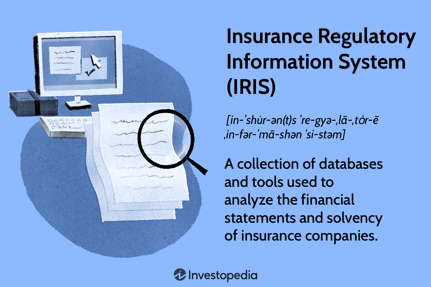 Insurance Regulatory Information System (IRIS)
