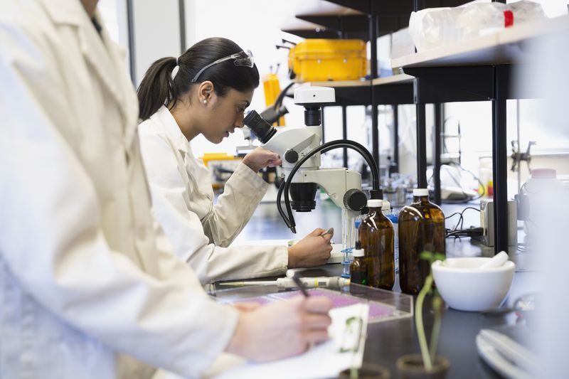 A scientist examining something under a microscope