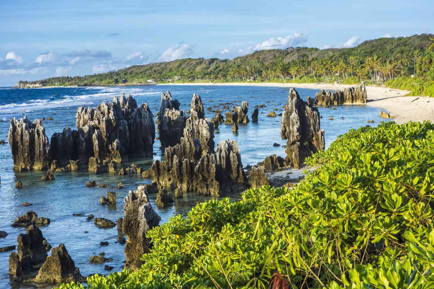 Naurus rocky coastline