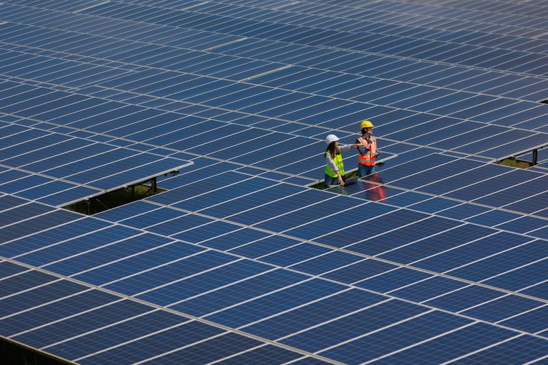 Two engineers working on solar panel farm
