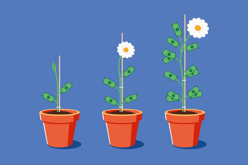 Three potted plants at different growth stages with dollar bills attached, symbolizing financial growth and investment over time.