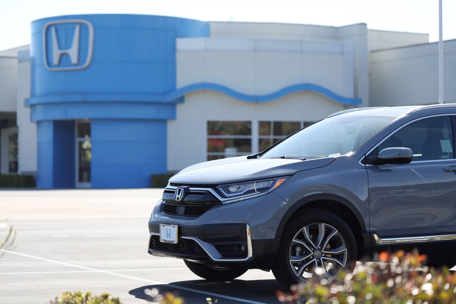 Honda car & dealership