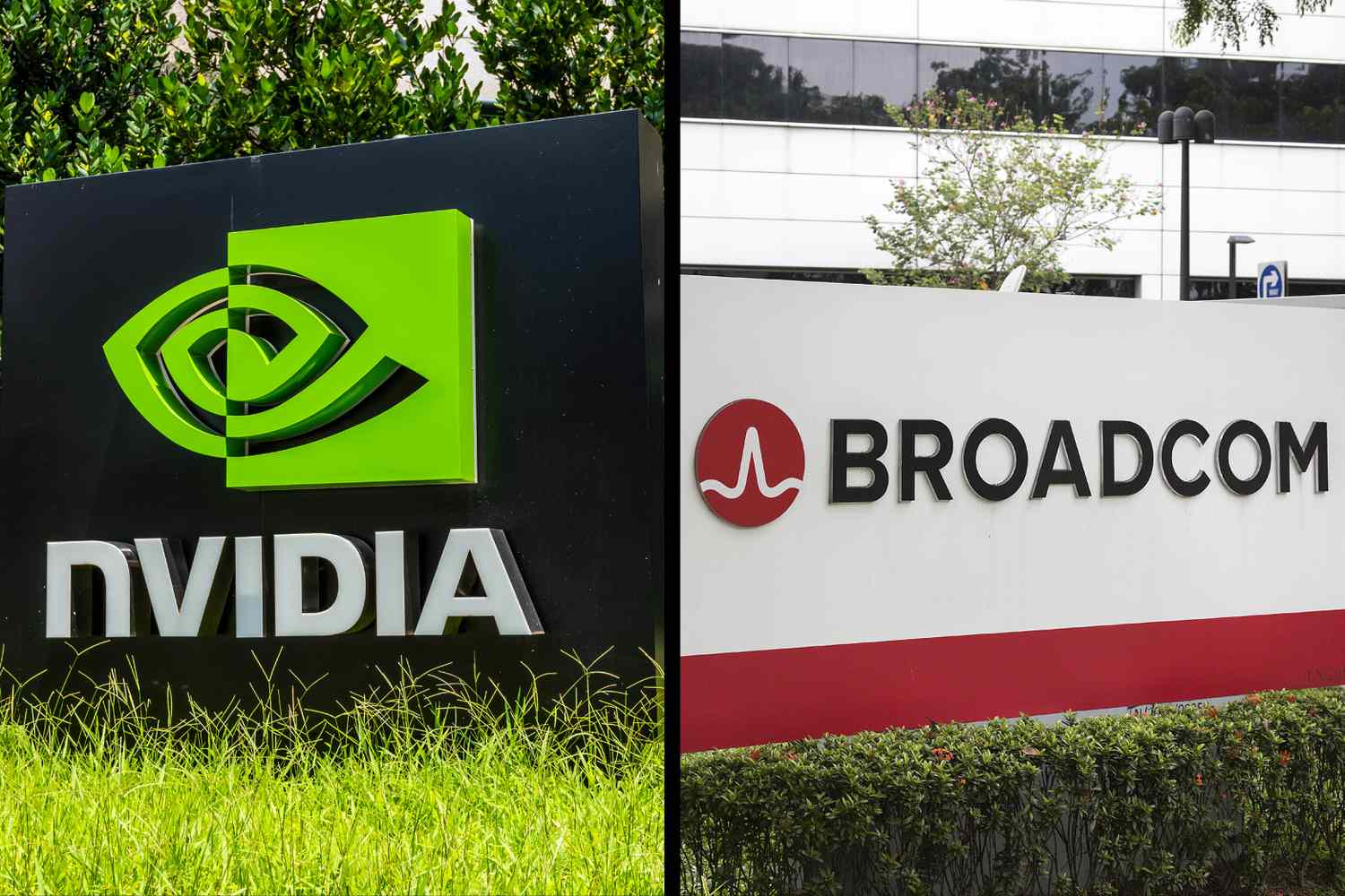 Nvidia and Broadcom