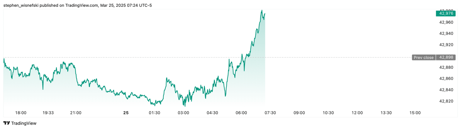 DJIA futures - March 25, 2025
