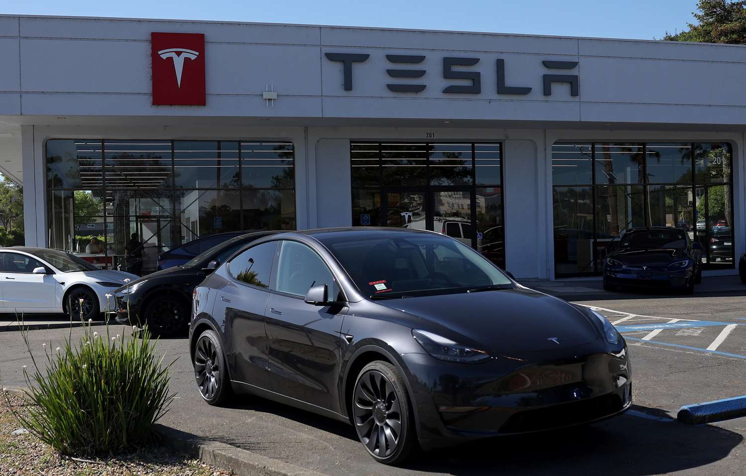 Tesla dealership