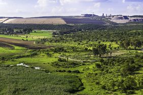 Harmony Gold, Savuka Mine
