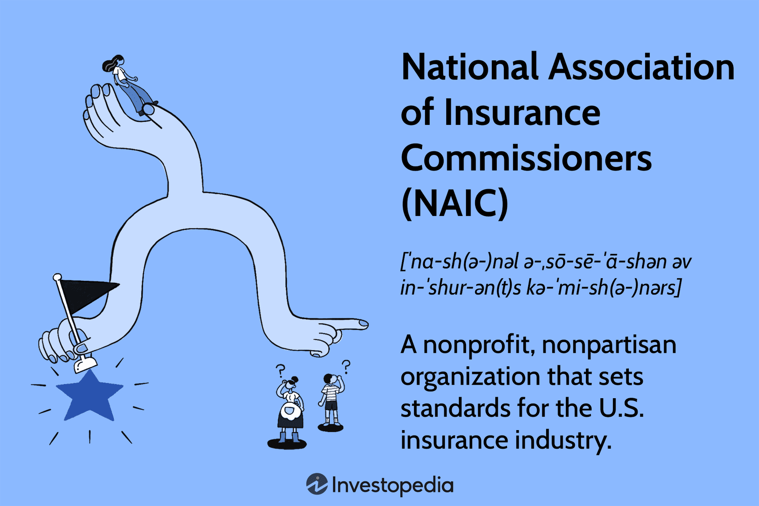 National Association of Insurance Commissioners (NAIC)