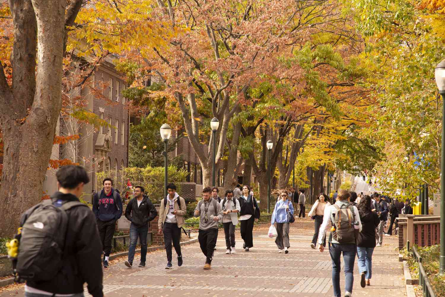College students walk beneath Autumn trees on the University of Pennsylvania campus.