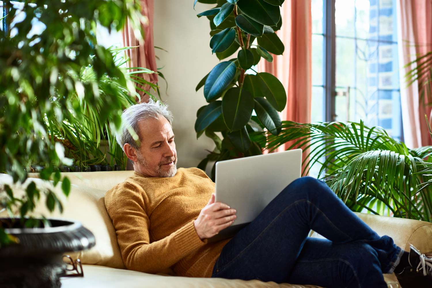 Person with a beard sitting in plant-filled living room with laptop.