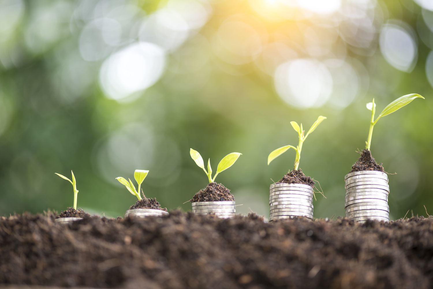 Saving money concept, Money stack growing