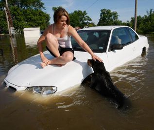 Salvage title
