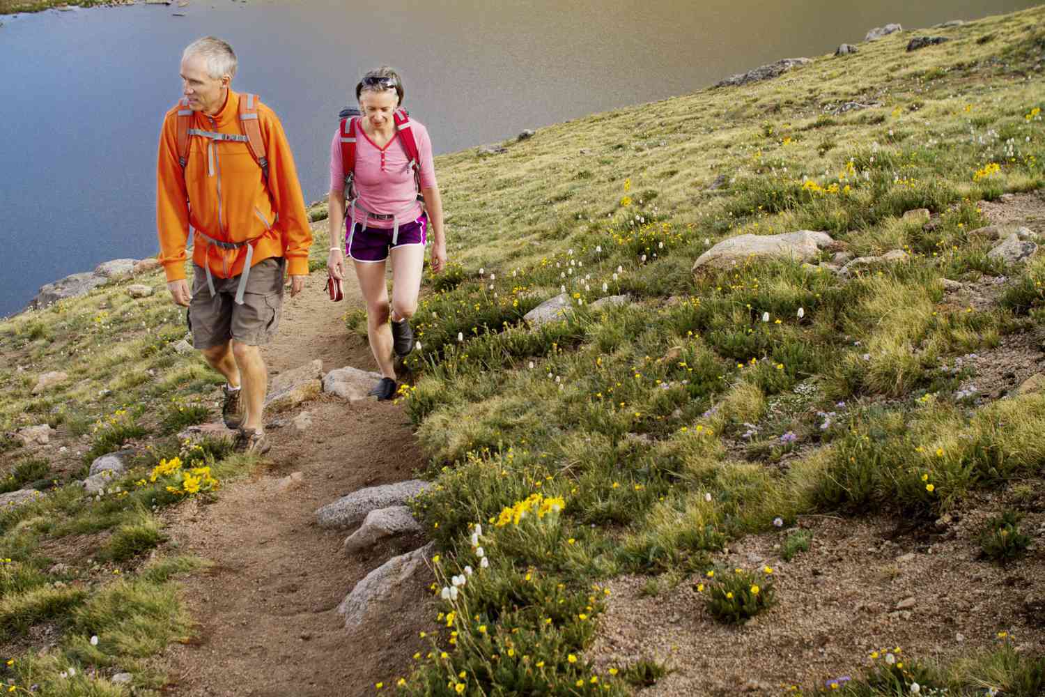 Two hikers on a hill