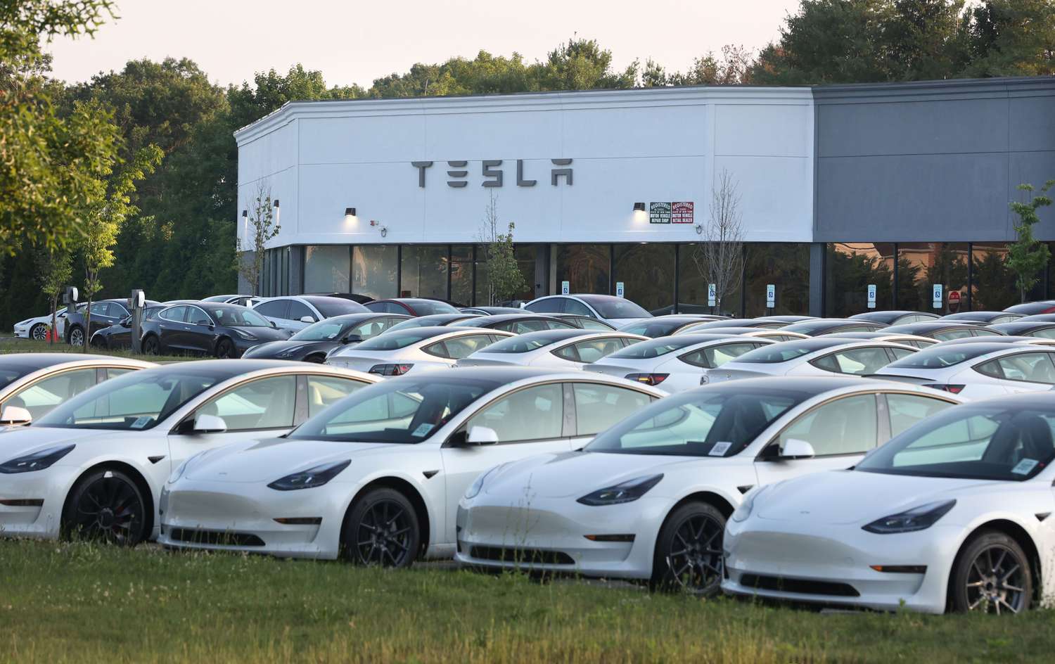 Tesla electric vehicles in a car lot.