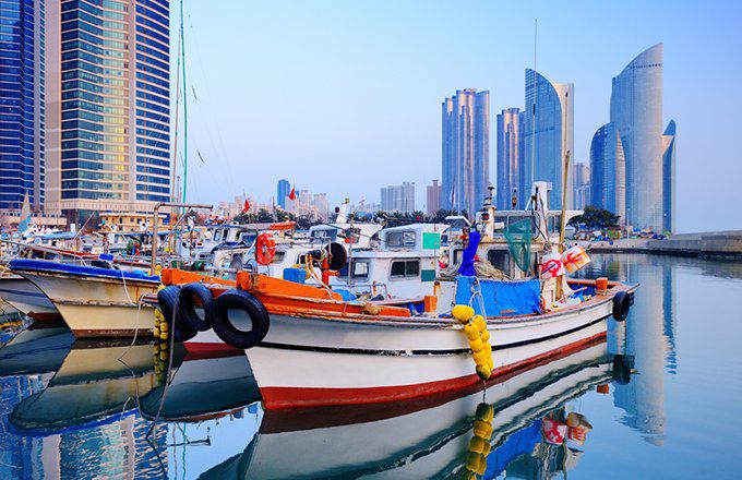 Learn more about the small yet growing number of South Korea ETFs, which track the often forgotten Asian Tiger responsible for Samsung, Kia and Hyundai.