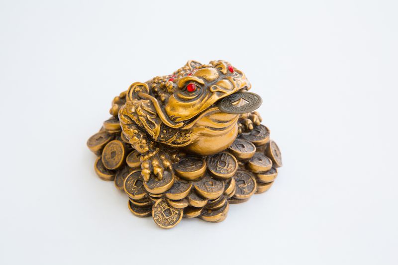 Feng shui money frog on a white background