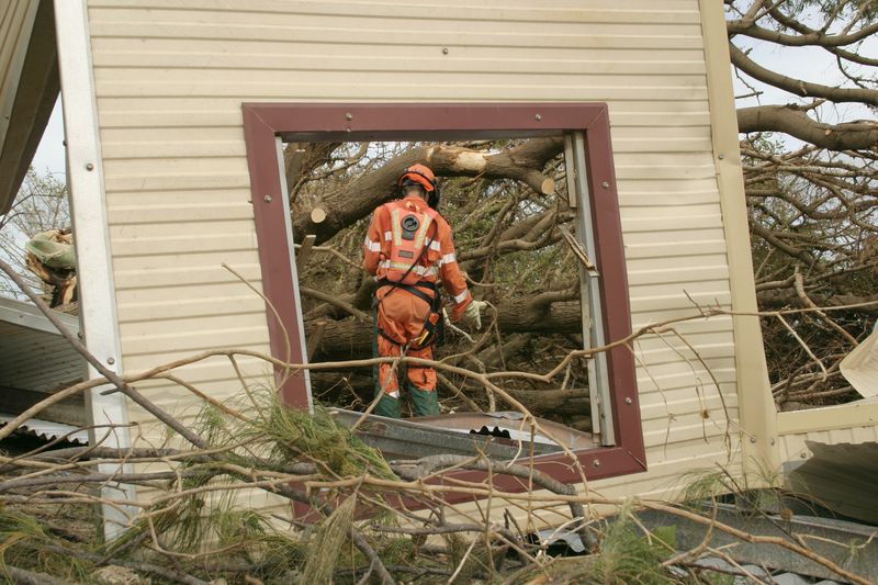 emergency worker in safety clothing cuts fallen trees with chainsaw (framed through fallen window)