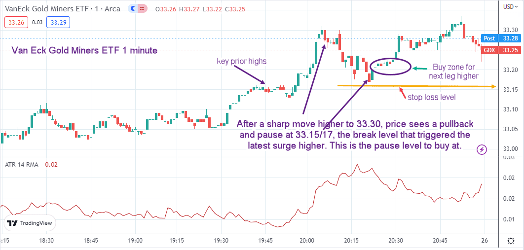 Gold miners
