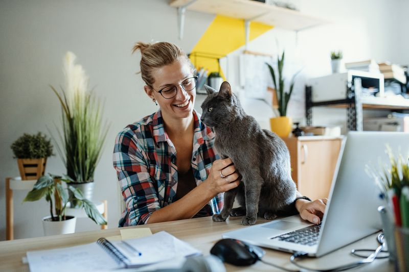 Young woman petting cat while working from home