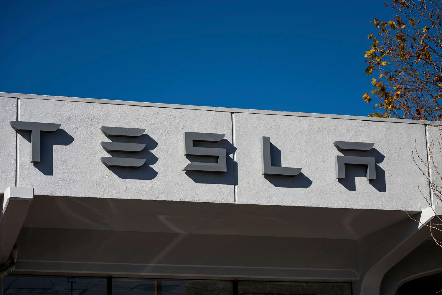 Tesla store