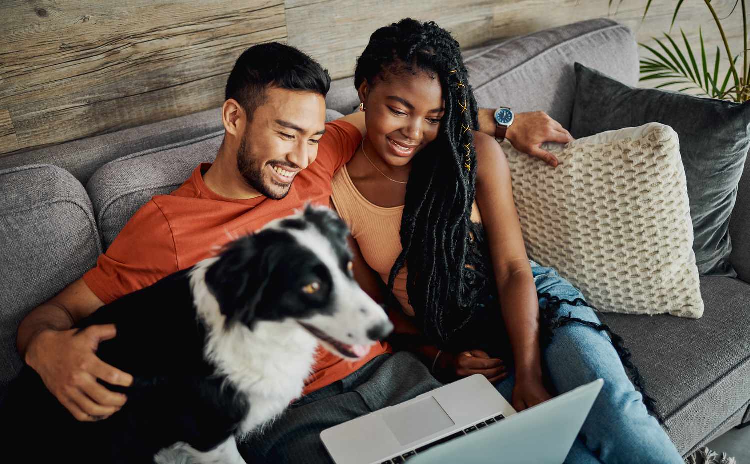 A young couple looks up financial info on a laptop while sitting on a couch with a border collie.
