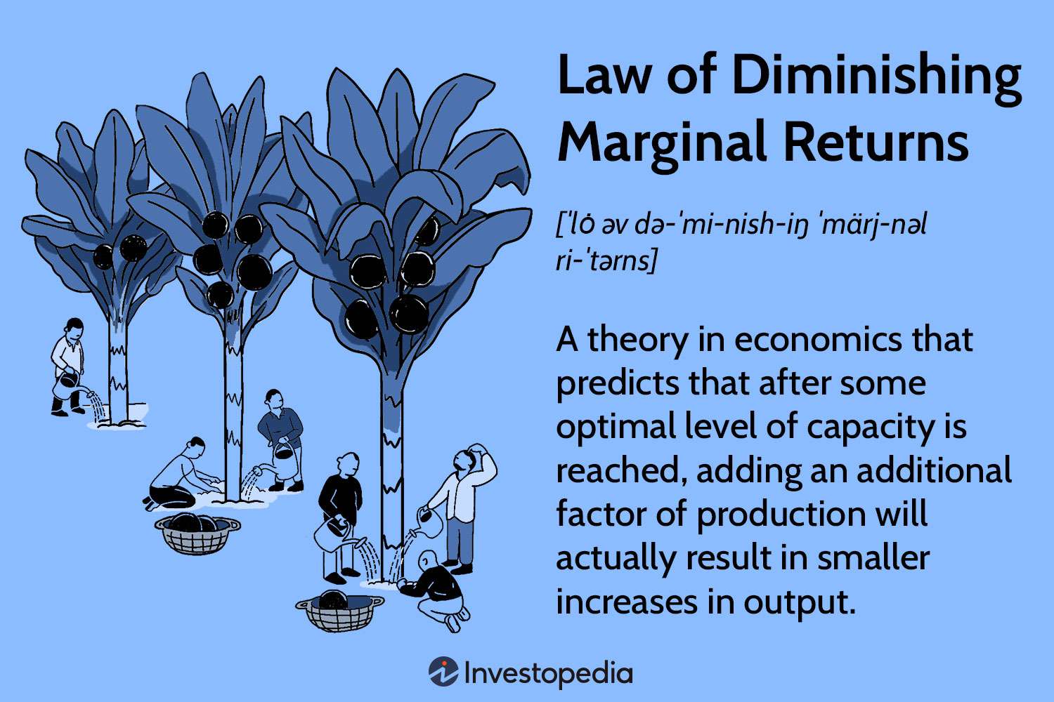 Law of Diminishing Marginal Returns