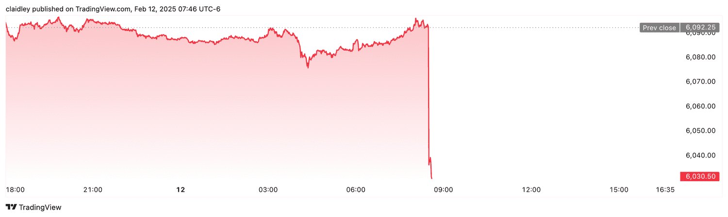 S&P 500 futures (Feb. 12, 2025)