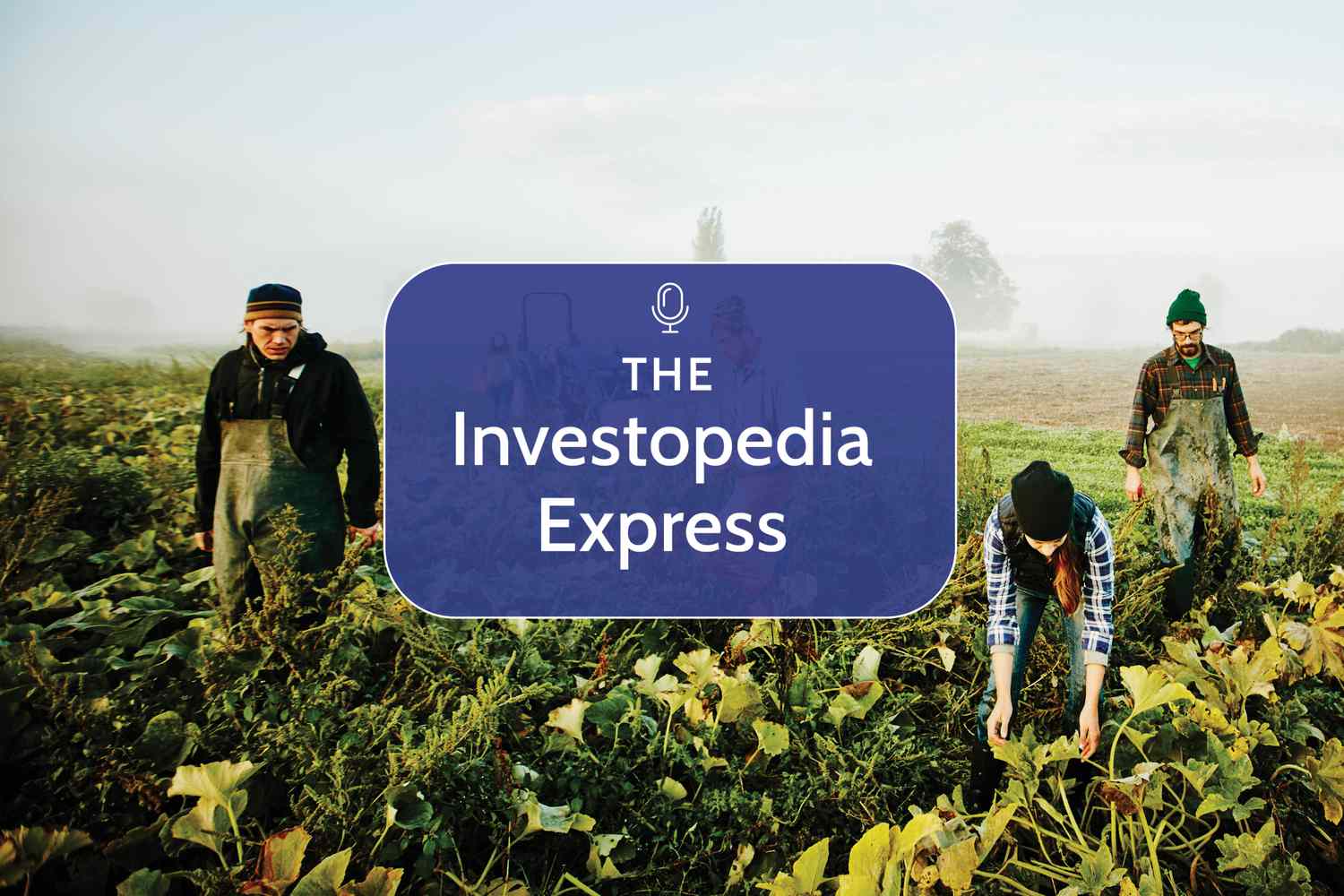 Three people working in a farmland 
