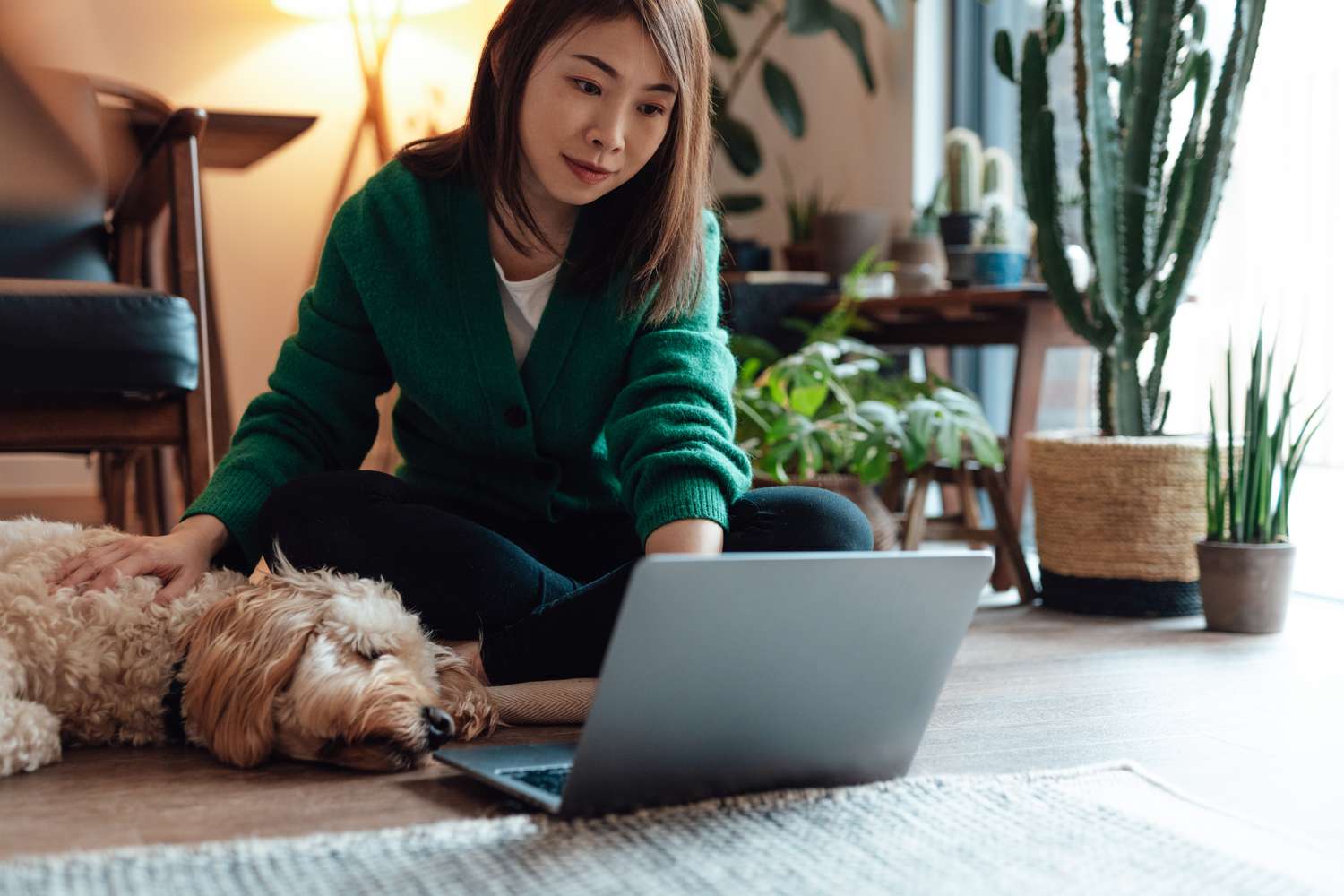 Young person with her dog while working on a laptop.