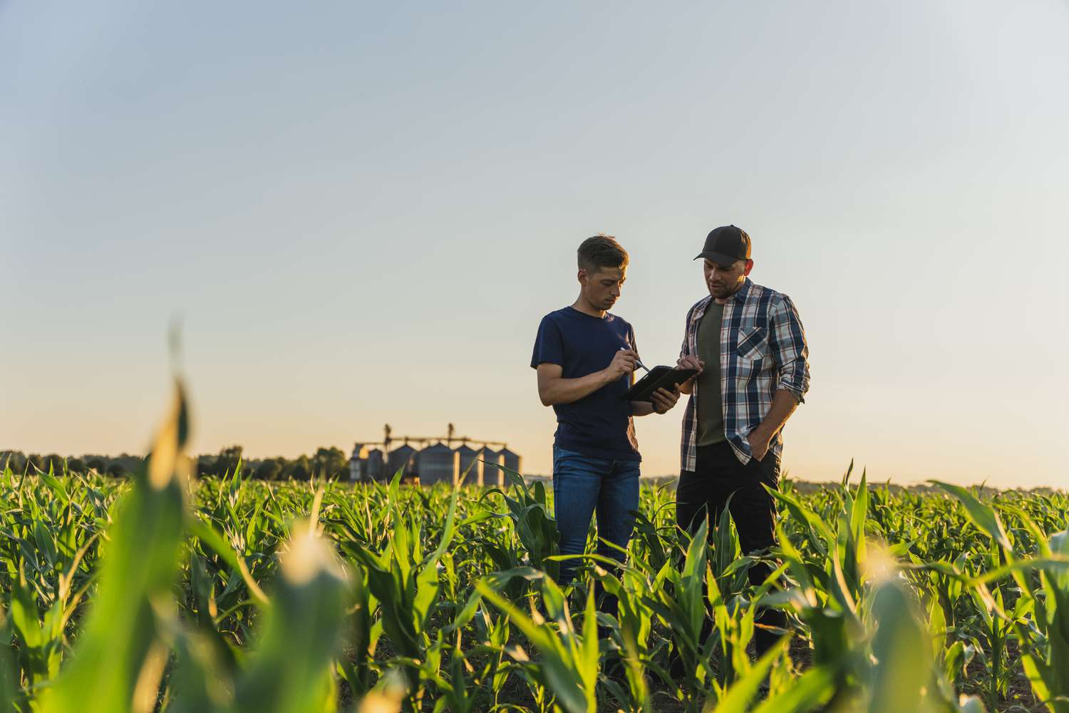 Man with tablet computer talks to another man in a corn field